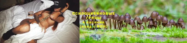 ешки Зеленокумск