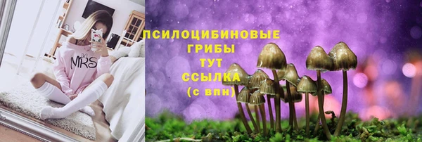 дурь Зерноград
